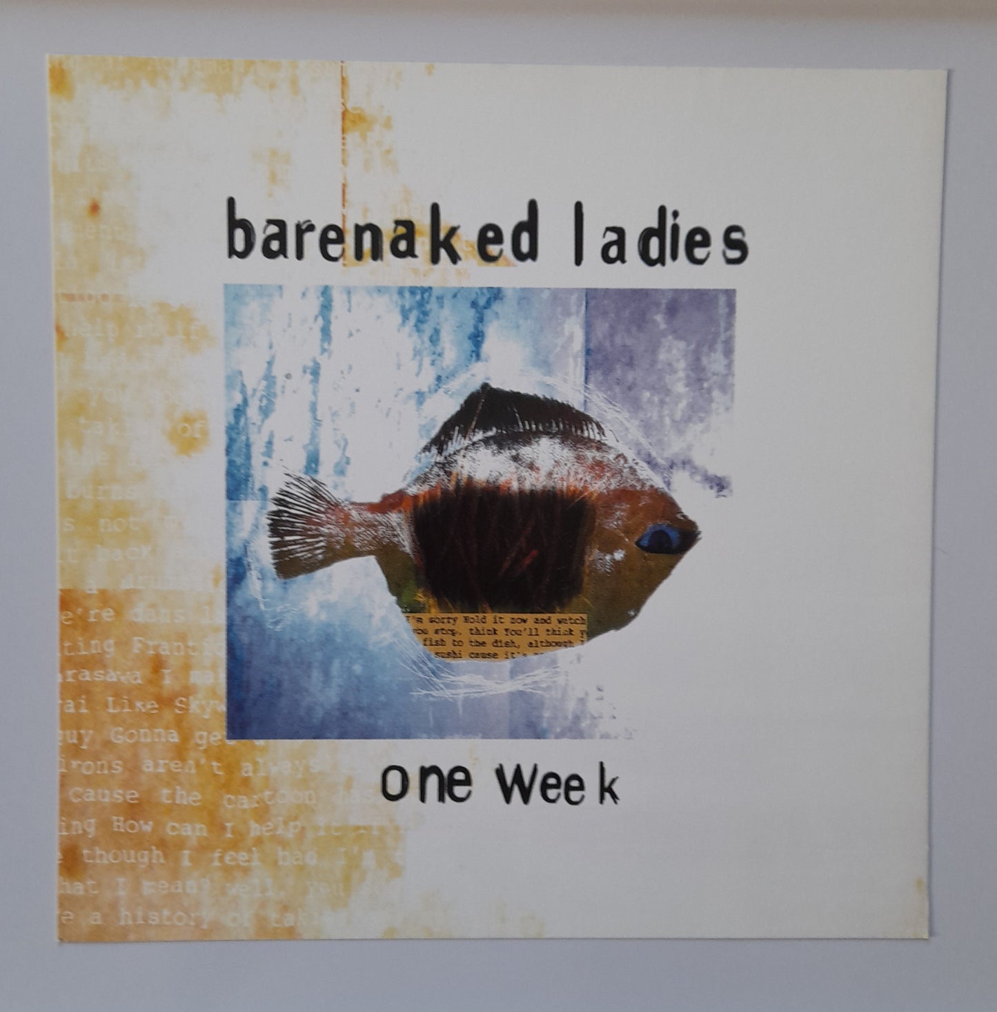 Barenaked Ladies - one week - Window Promo Card - Music Poster Shop