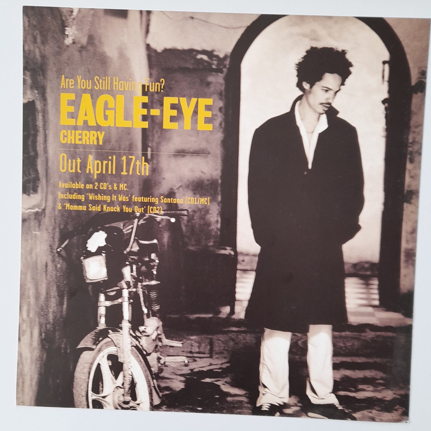 Eagle-Eye Cherry - Window Promo Card - Music Poster Shop