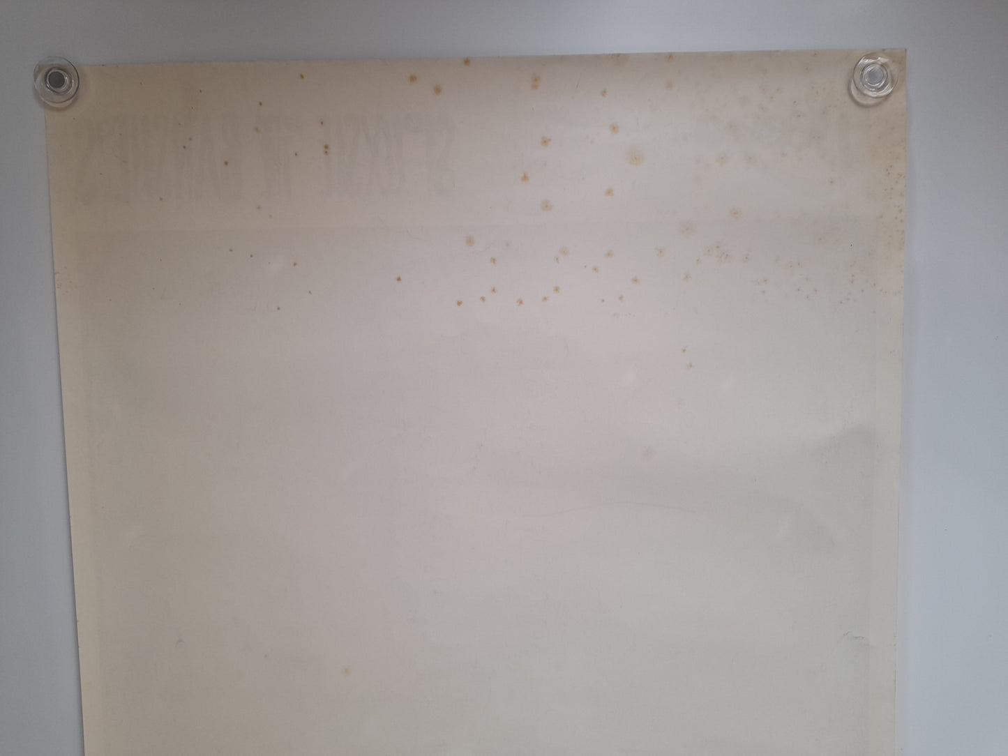 Siouxsie and The Banshees Hyanea Promo Poster - Music Poster Shop