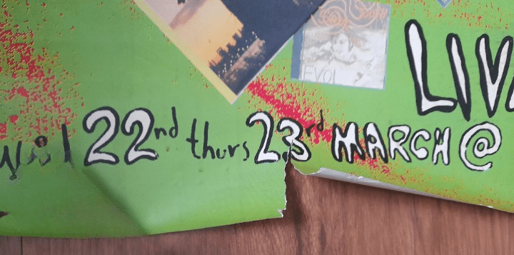 Sonic Youth 1989 Concert Poster - Music Poster Shop