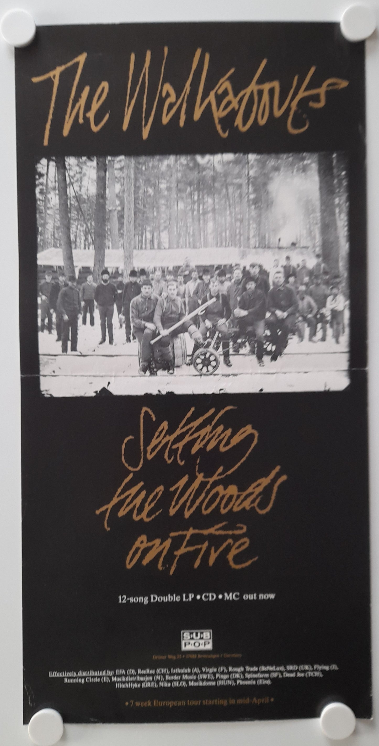 The Walkabouts - Setting The Woods on Fire Promo Poster - Music Poster Shop