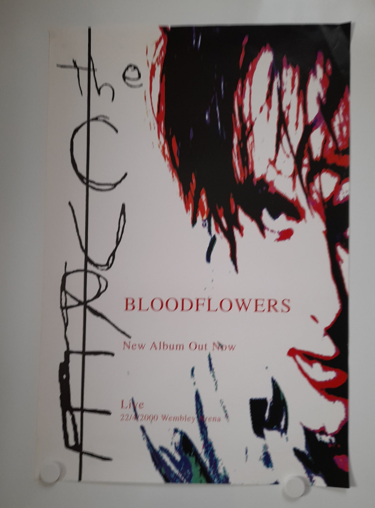The Cure Bloodflowers Album Promo Poster 2000 - Music Poster Shop