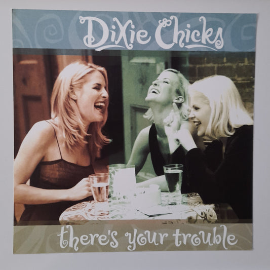 Dixie Chicks - There's Your Trouble - Window Promo Card