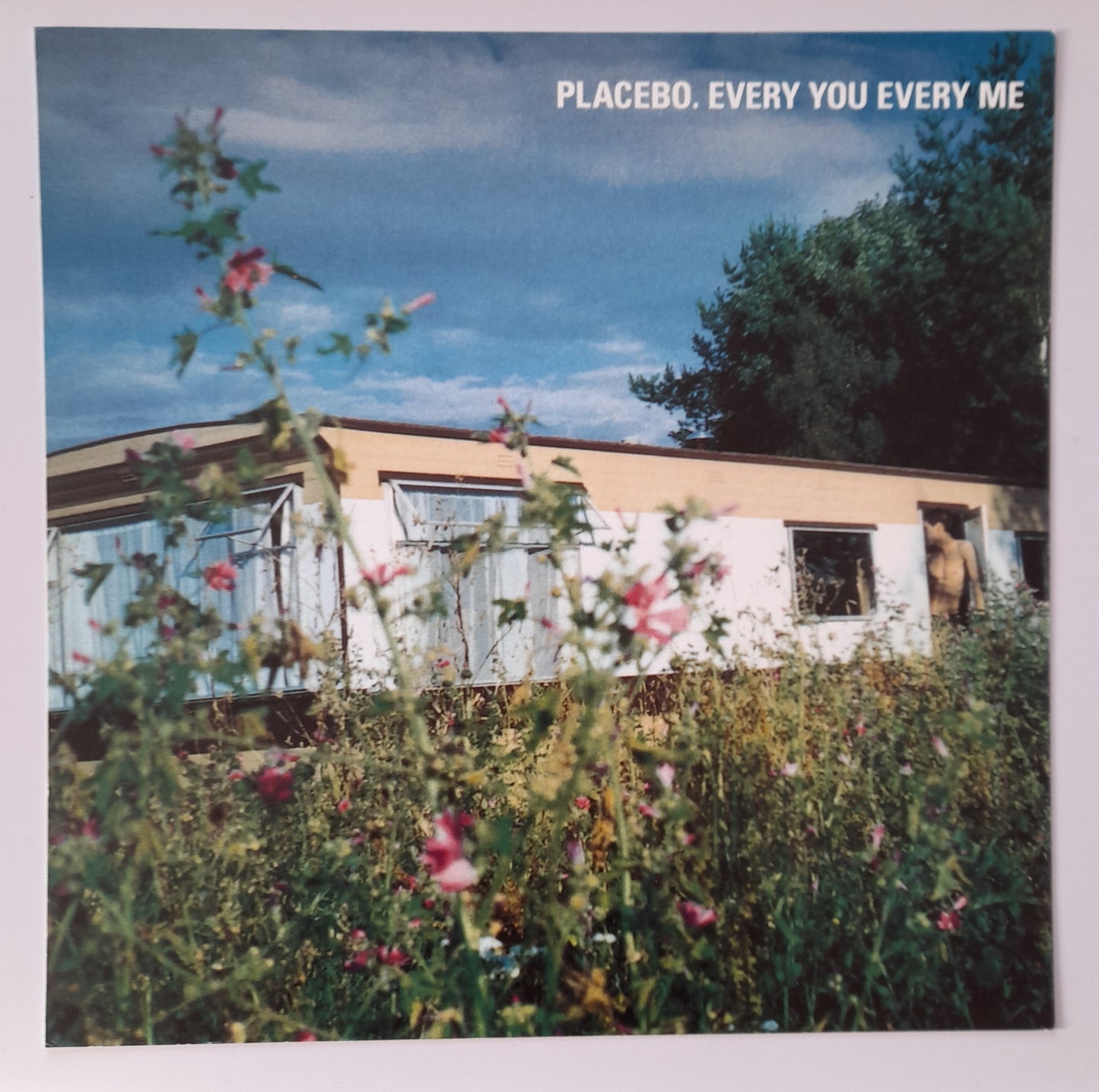 Placebo - Every You Every Me - Window Promo Card