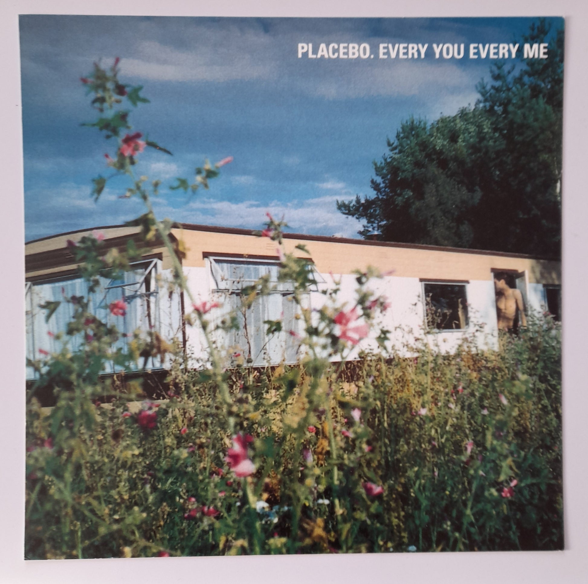 Placebo - Every You Every Me - Window Promo Card