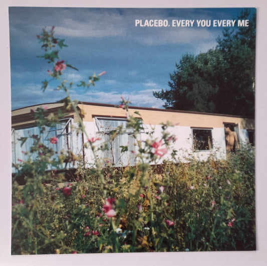 Placebo - Every You Every Me - Window Promo Card