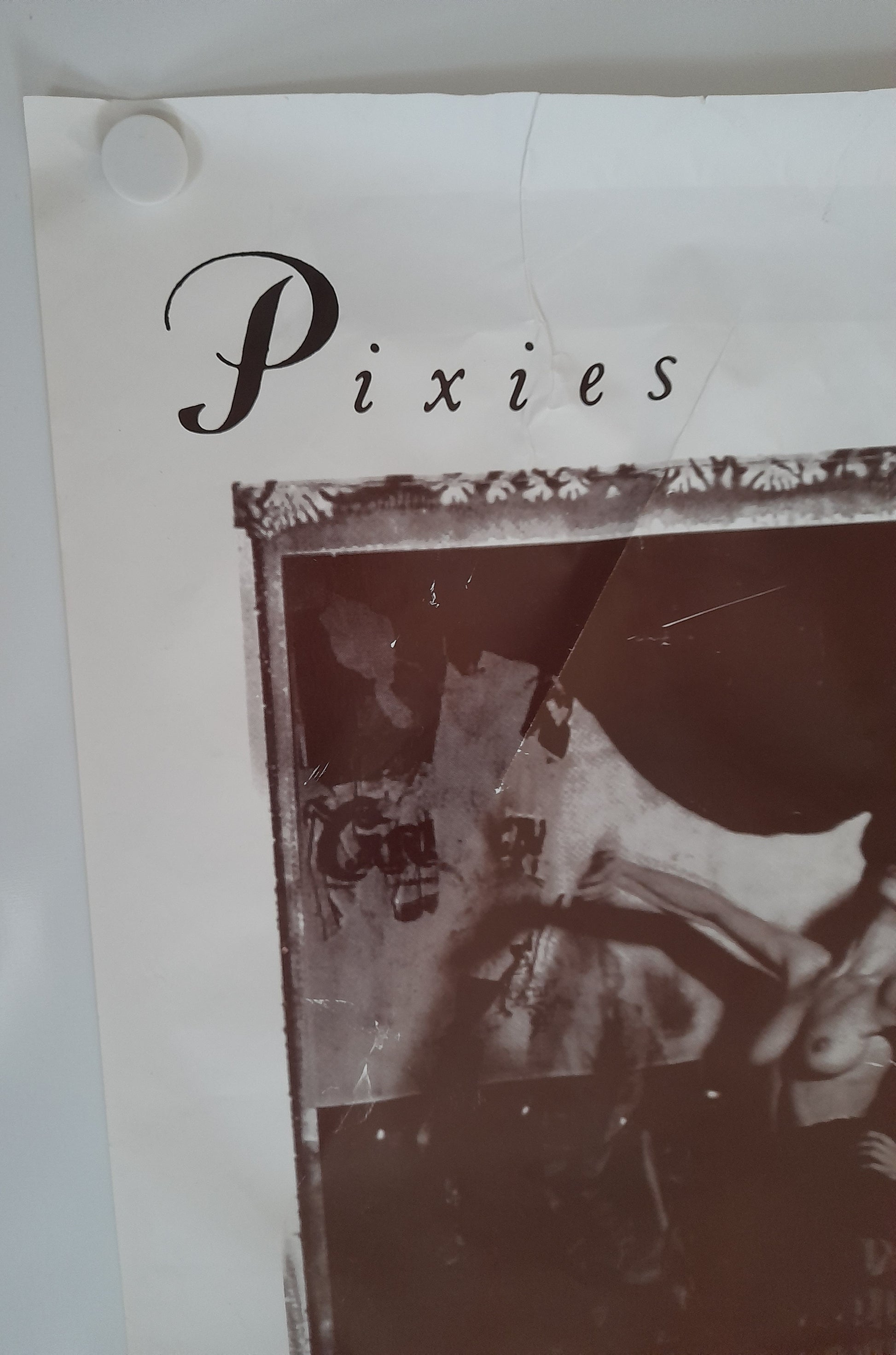 Pixies Surfer Rosa Poster - Music Poster Shop