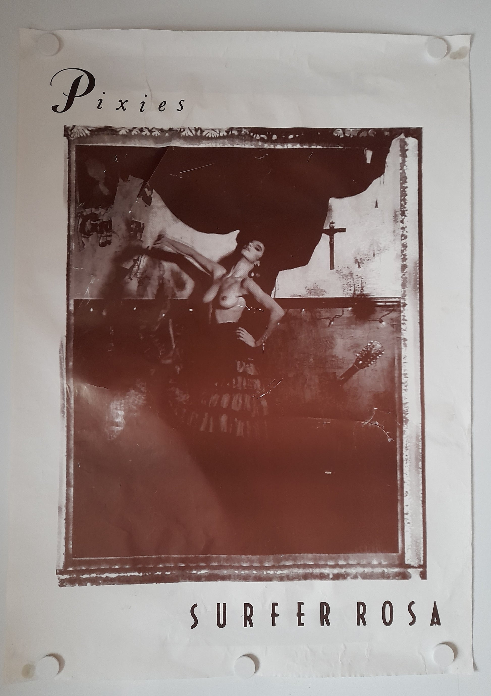 Th e Pixie surfer Rosa Poster