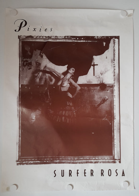Th e Pixie surfer Rosa Poster